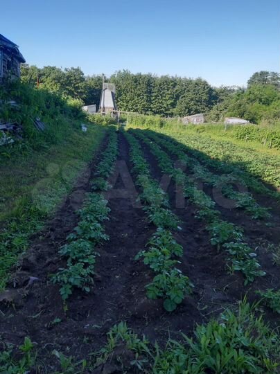 Дом 39 м² на участке 15 сот.