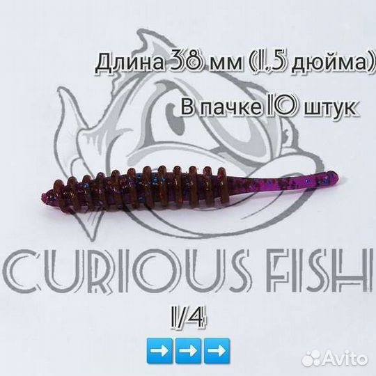 Curious Fish Aji Ringer 1,5 дюйма(3,8 см)