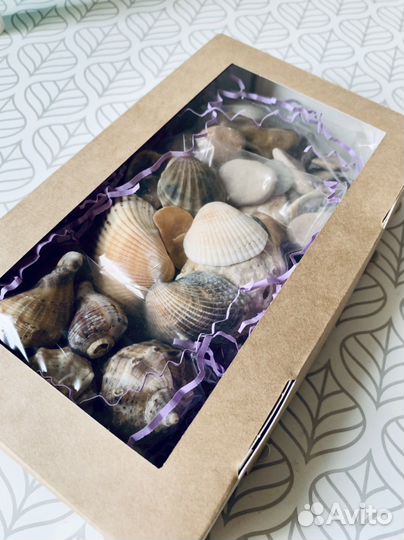 Подарочный набор морской дары моря ракушки