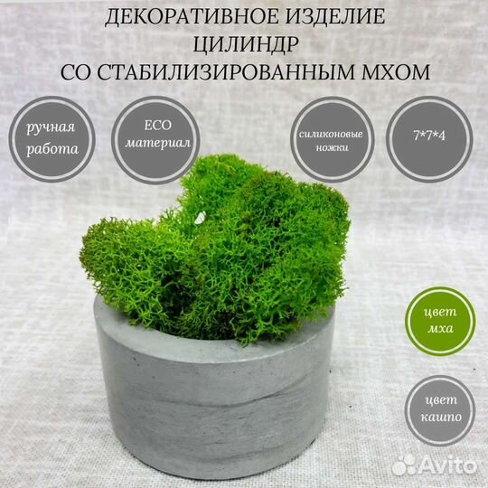 Декоративное изделие цилиндр со мхом