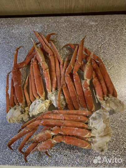 Краб камчатский, 2L