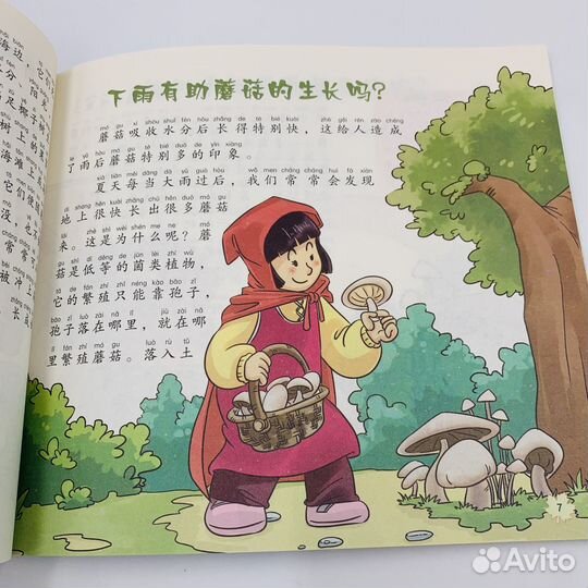 Почемучка книги на китайском языке с пиньинь