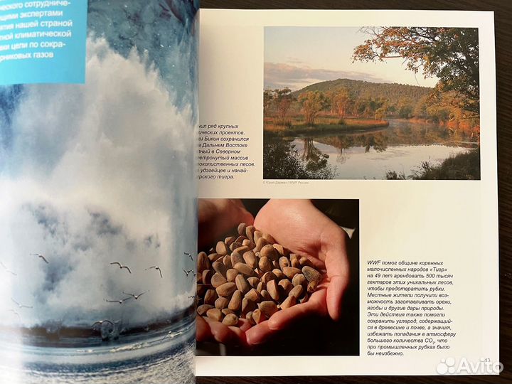 Журнал про WWF