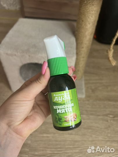 Домик для кошки с когтеточкой