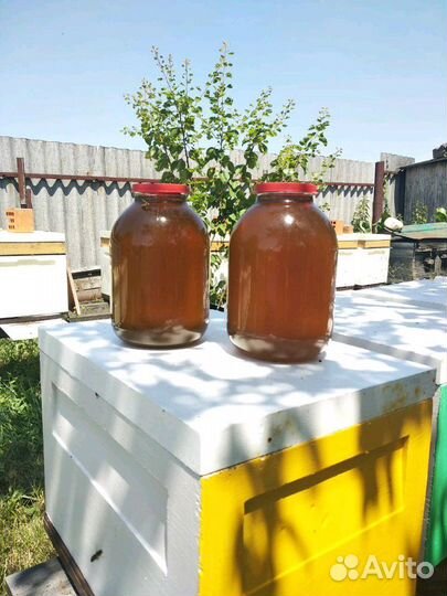 Мёд липовый,майский,разнотравье,подсолнечн