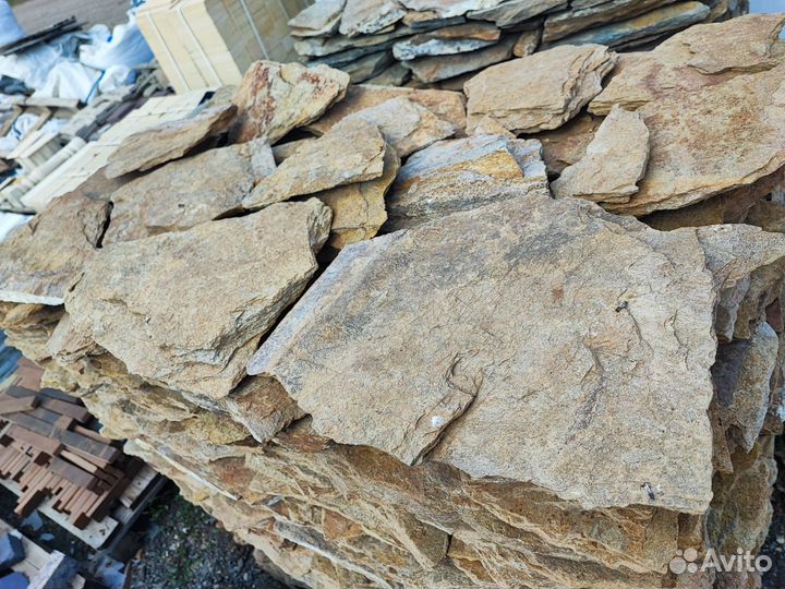 Золотая осень 500 р м2