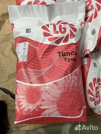 Семена подсолнечника тунка Tunca