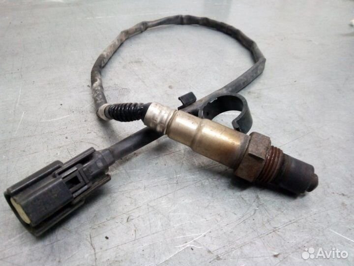 Датчик кислородный Ford Focus 3 хэтчбек 2.0