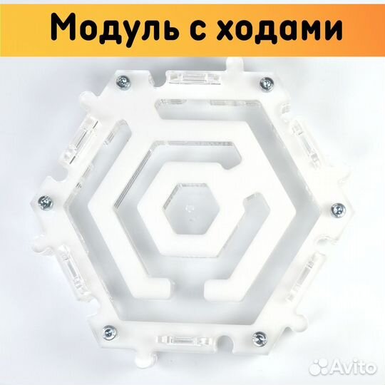 Муравьиная ферма 