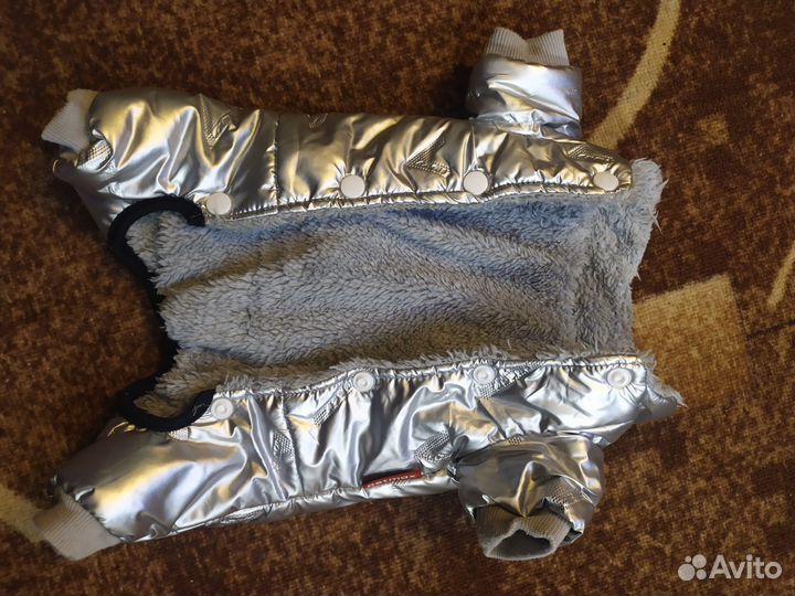 Одежда для собак мелких пород