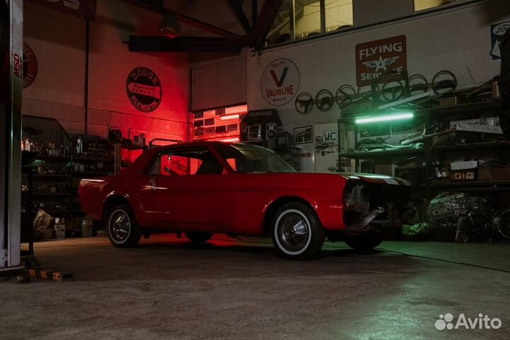 Автоэлектрик с выездом с 11 до 14316