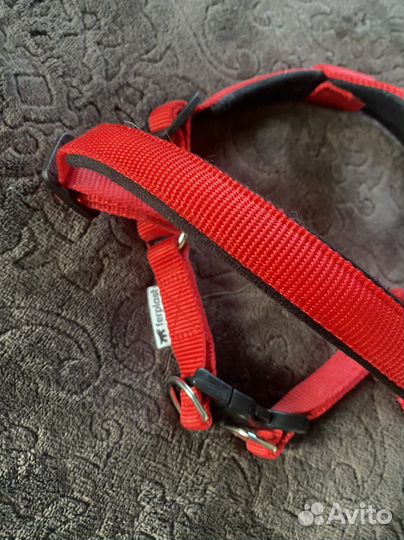 Шлейка, поводок, ошейник