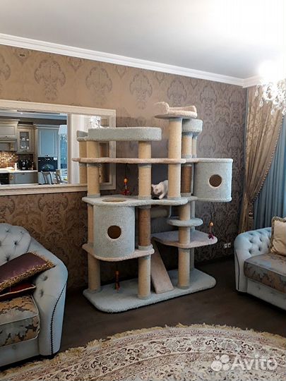 Когтеточка,комплекс для кошки