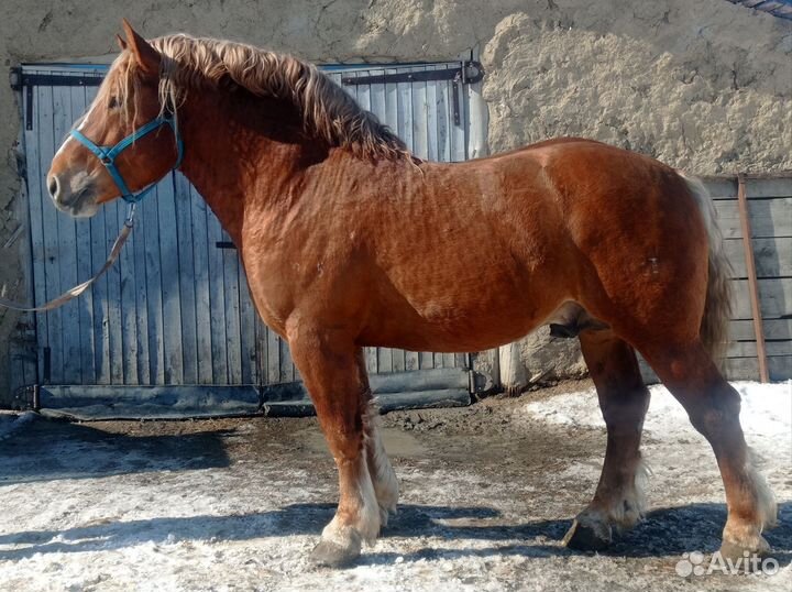 Советский тяжеловоз