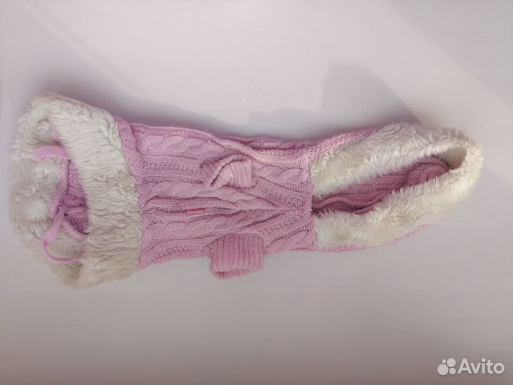 Одежда для животных