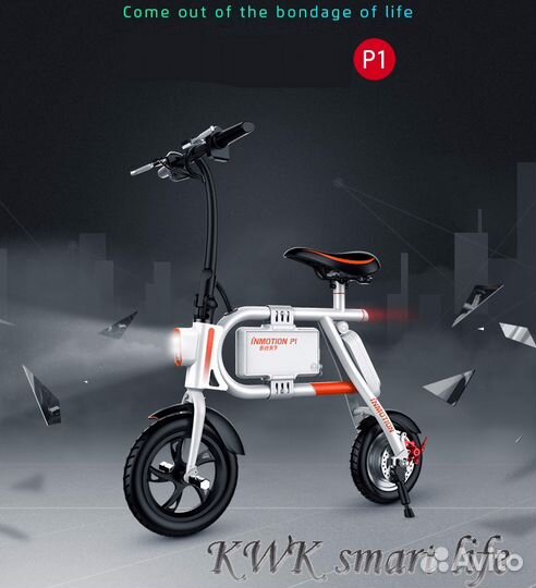 Inmotion E Bike P1