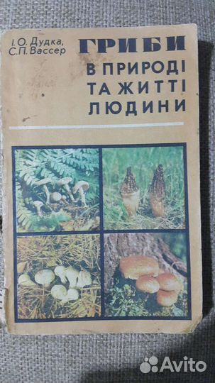 Книга Грибы 2 штуки