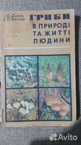 Книга Грибы 2 штуки