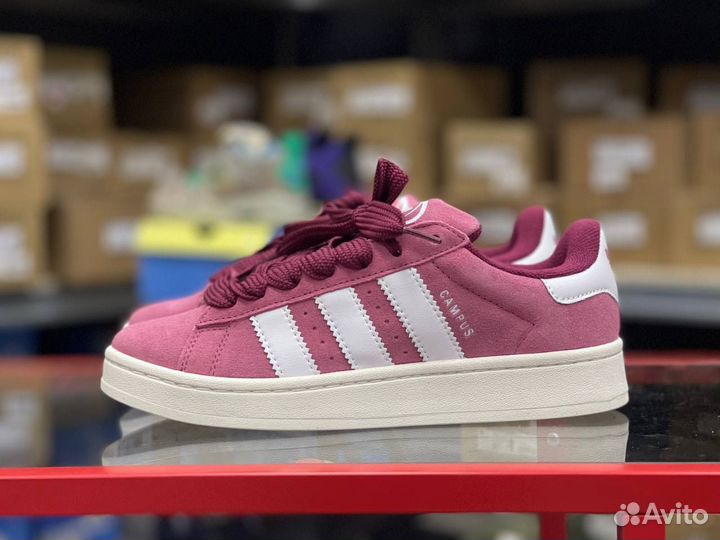 Кроссовки Adidas Campus 00s Pink Stata