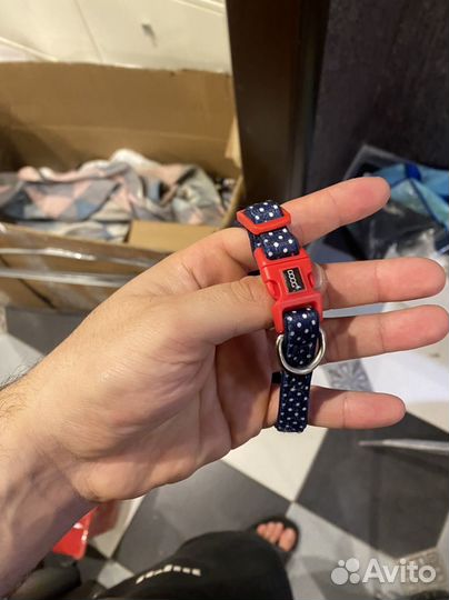 Вещи для собак