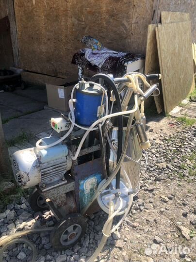 Дойный аппарат бу