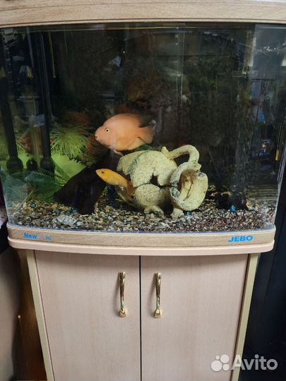Jebo R362 (95 литров)и украшения для аквариума