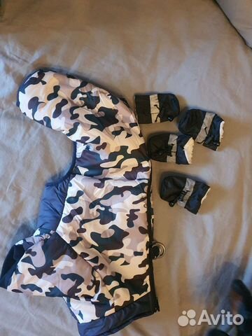 Одежда для собак