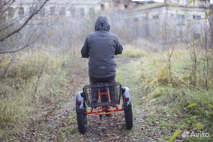 Электробайк всей семье трехколесный