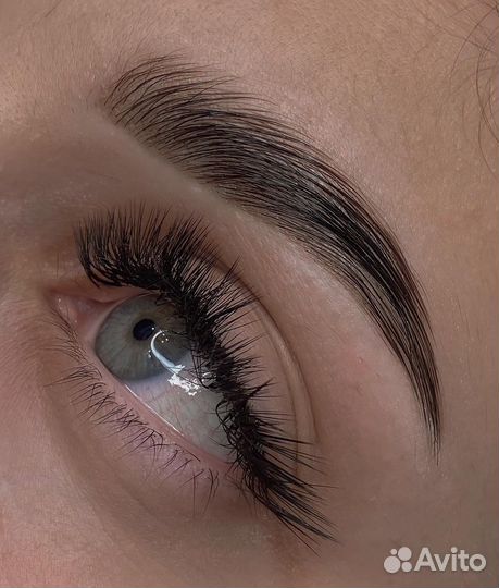 Брови/окрашивание/архитектура/ламинирование