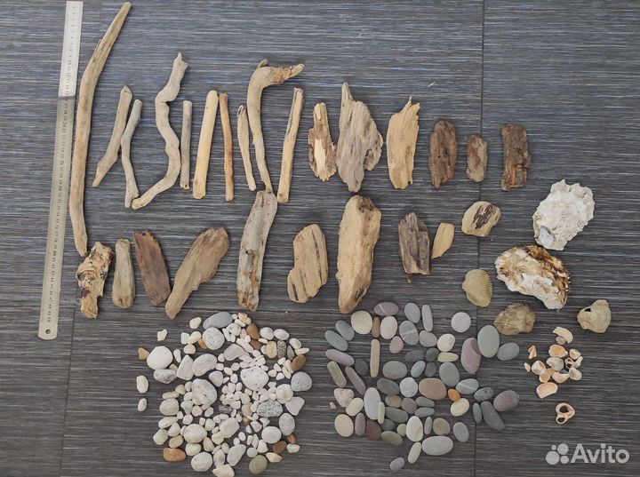 Набор 1 (дрифтвуд,галька, ракушки)
