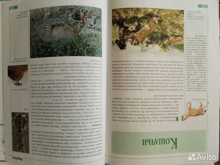 Книги эрудит