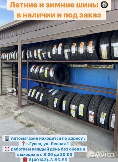 Arivo Premio ARZero 205/55 R16