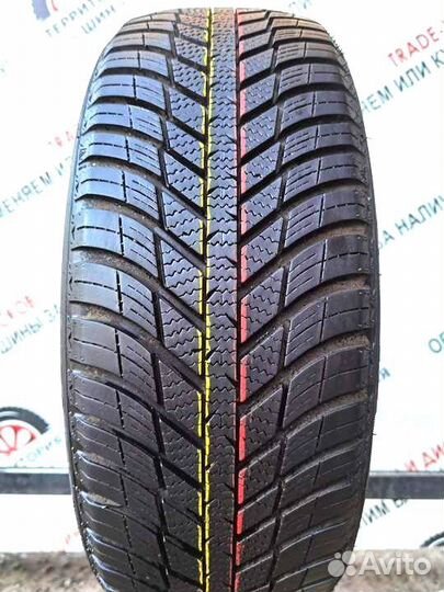 Nexen N'Blue 4 Season WH17 195/55 R16 91H