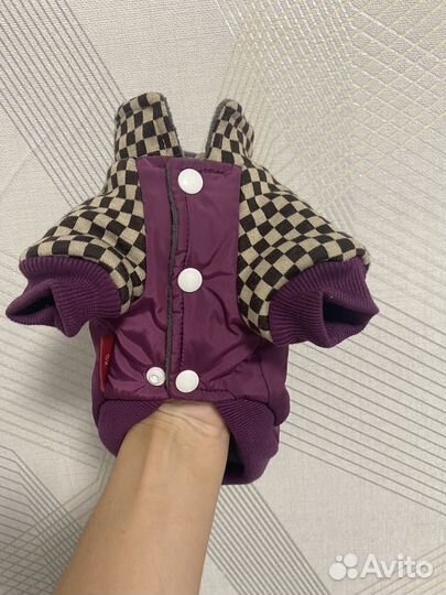 Одежда для собачки