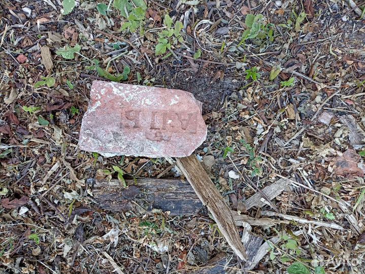 Гид экскурсовод