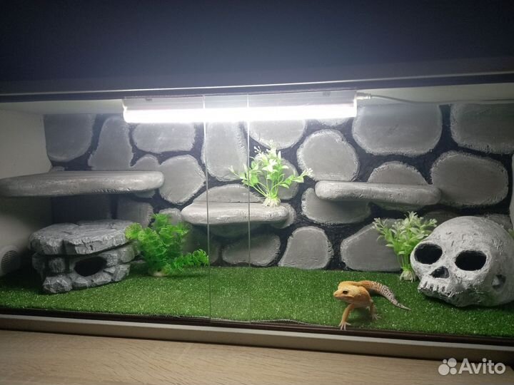 Влажная камера, укрытие,грот для гекконов