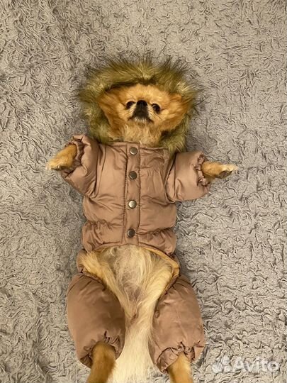 Пуховик зимний для собак