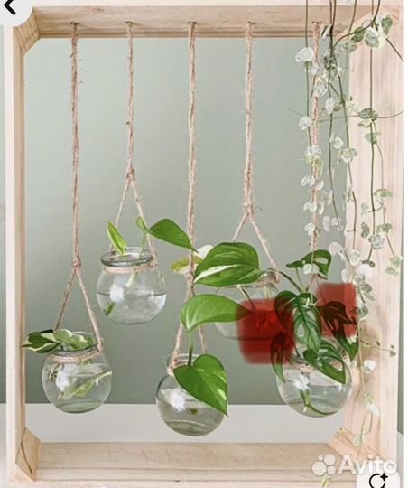 Банки медицинские 19 штук в наличии