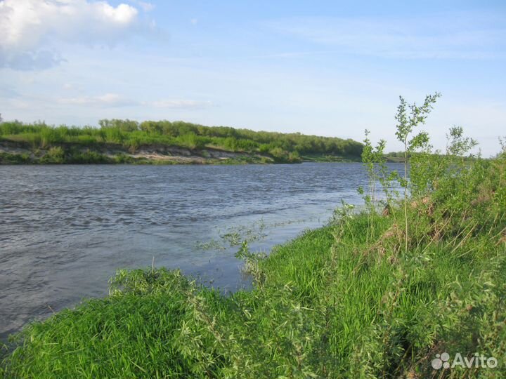 Фотоаппарат Canon Power Shot A590 IS