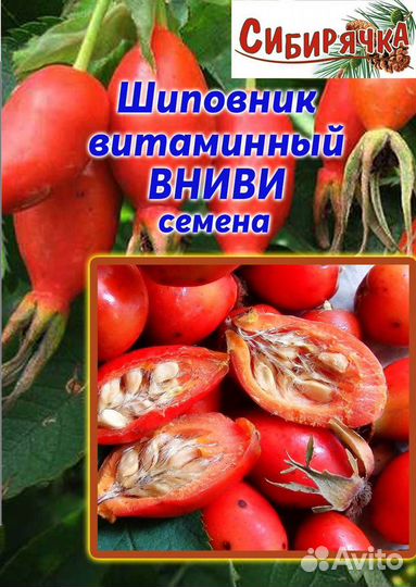 Семена малины, шиповника и цветов из Сибири
