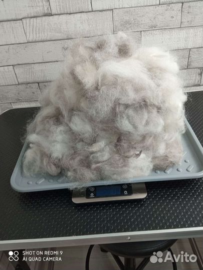 Собачья шерсть пух
