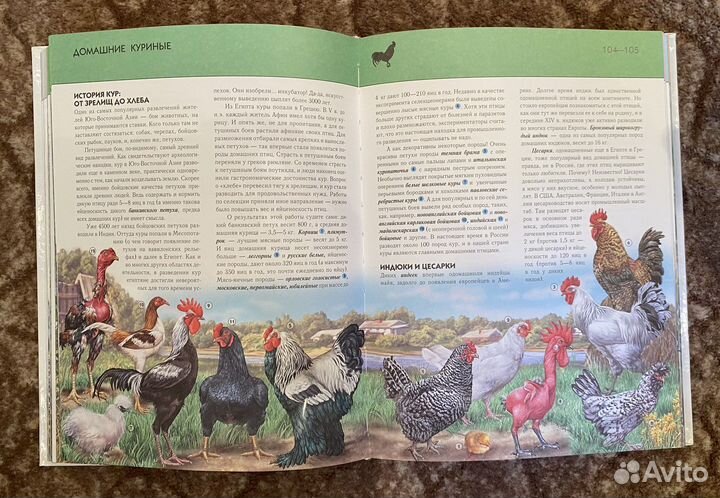 Полная энциклопедия 