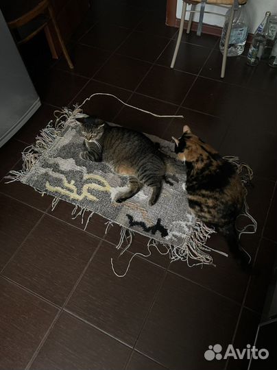 Уроки рисования и ткачества