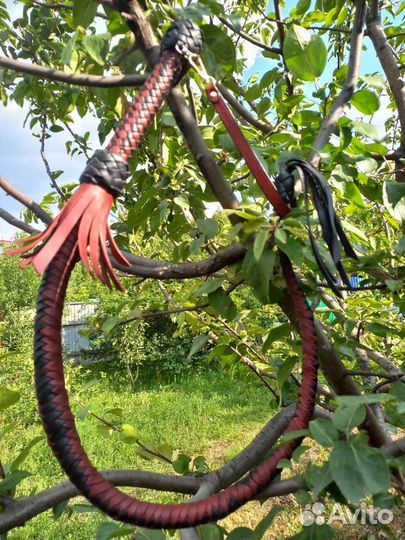 Нагайка кубанская