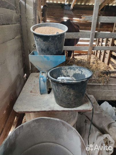 Эко мясо, козлятина, Говядина, баранина, жир