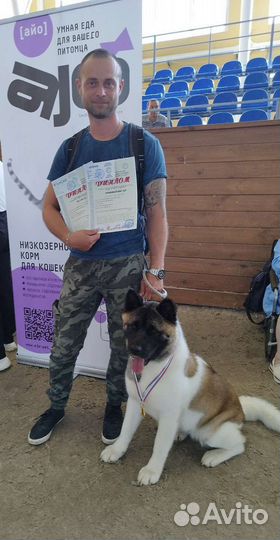 Кинолог/Хендлер дрессировка собак любых пород