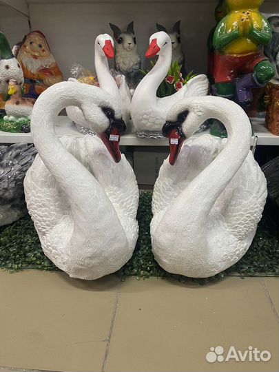 Лебеди большие