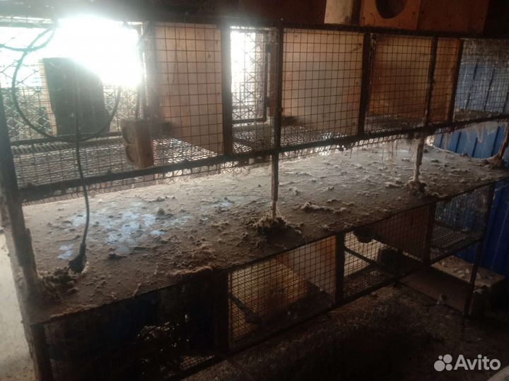 Клетка для грызунов