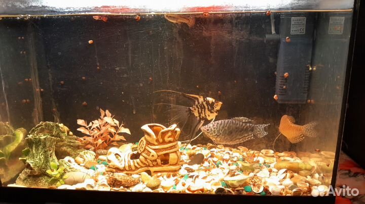 Аквариум с подсветкой и фильтром