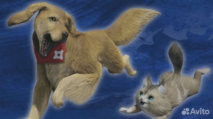 Monster Hunter Rise Бонус (DLC) Switch (Последний)